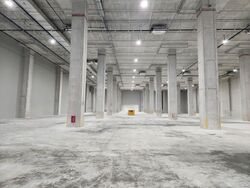 C & P Logistics Hub 2 (D22), Factory #581168421